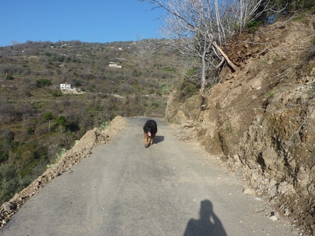 Im coming as fast as a Bruno can