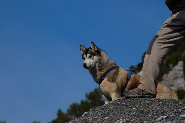 Me looking out for goats, pigs or anything else of interest