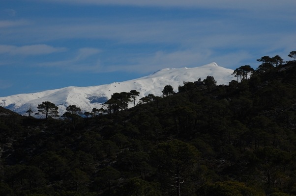 A view of part of the Sierra Nevada