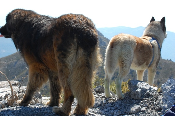Me & Bruno on the look out in different directions for anything that moves