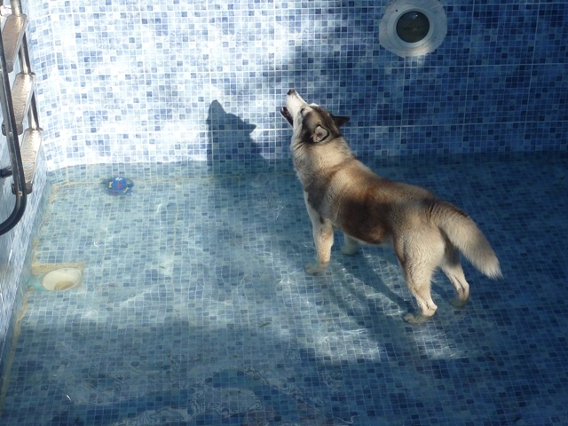 Doing my cool down stretches after my morning walk