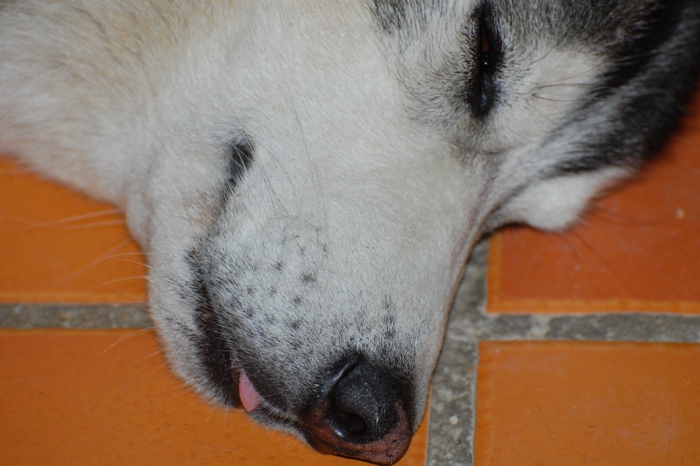 Me with a sticky out tongue
