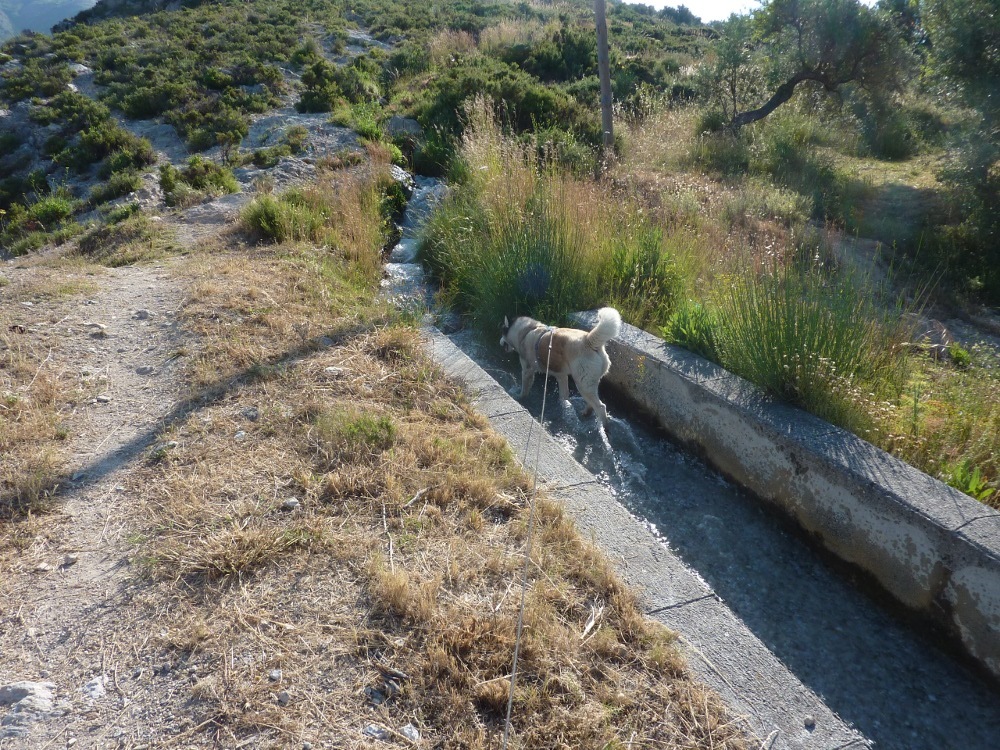 Me in the 3rd acequia, the biggest & most fun