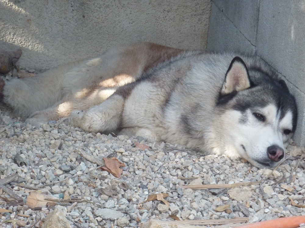 Take another nap to ensure all is good this time