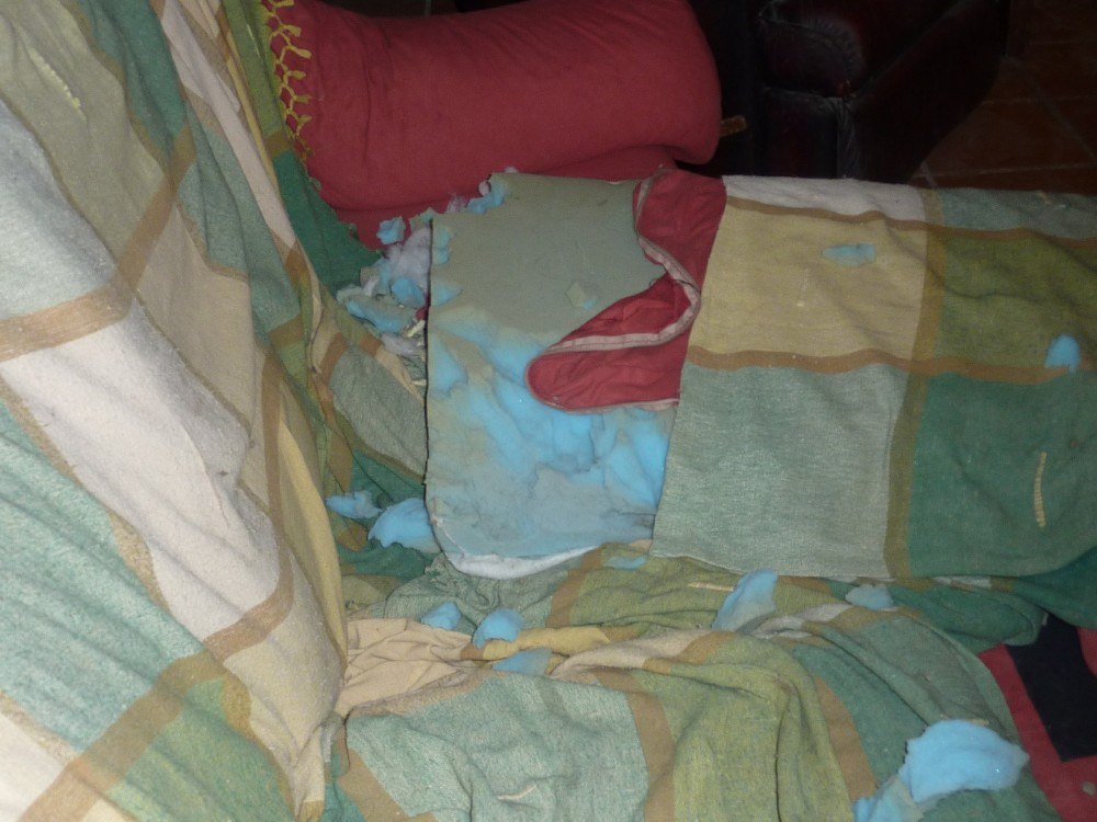 The sofa