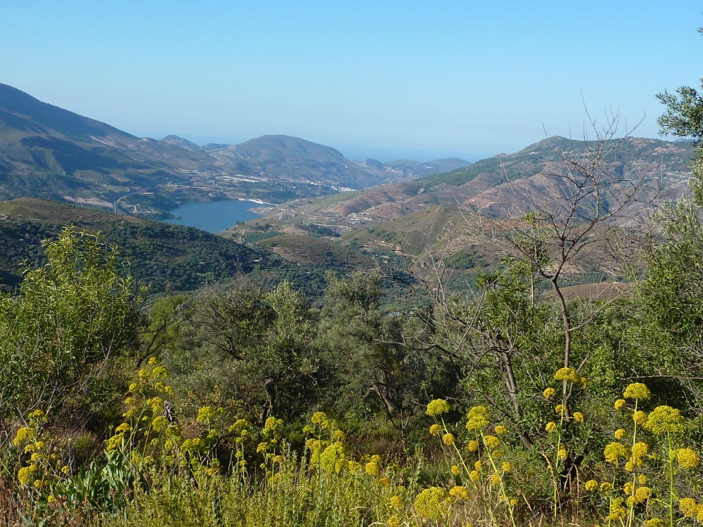 View from our walk. You can see the Mediterranean sea