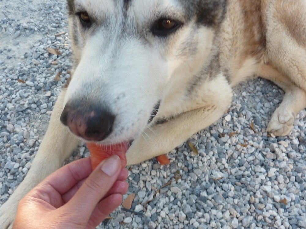 Eating water melon