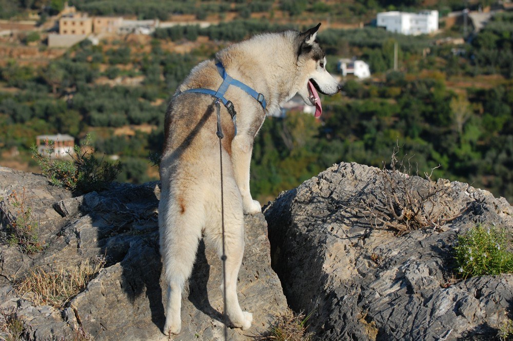 Just checking all is well over the ridge