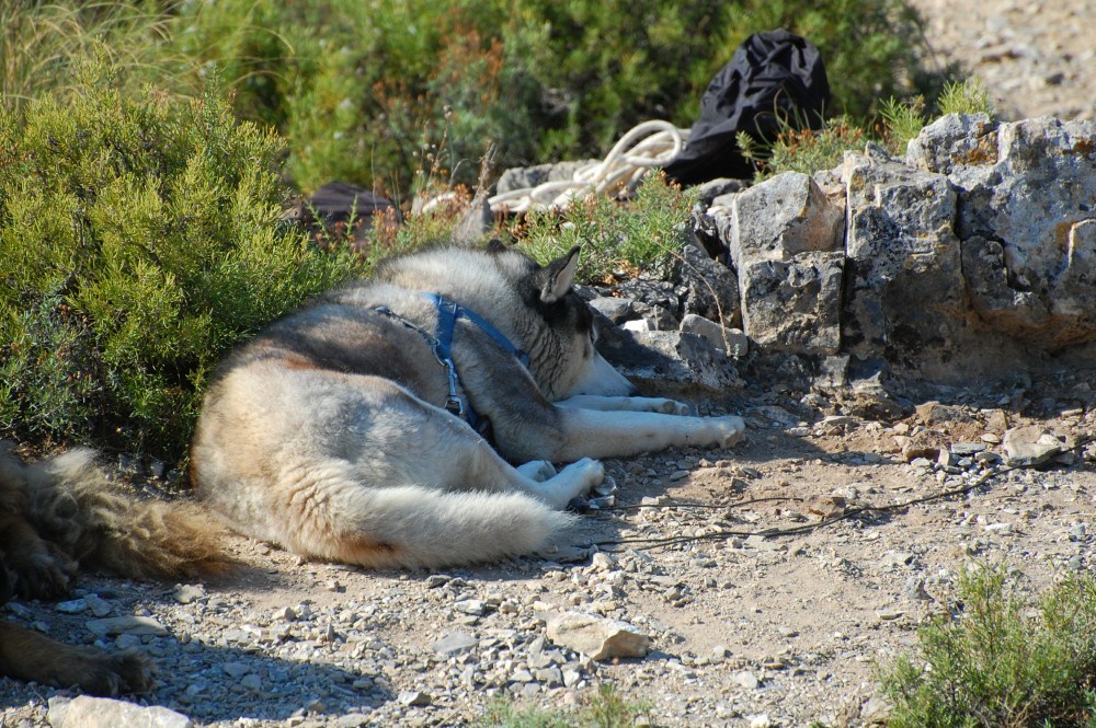 Taking a well earned break, thats the abseil rope behind me