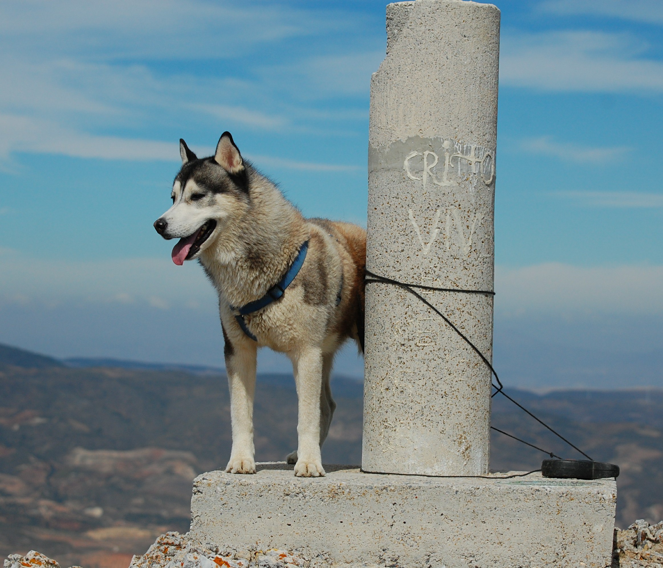 Attached to the summit again