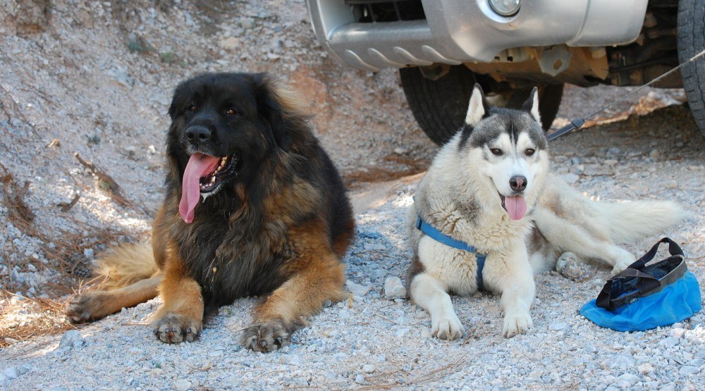 Back at the car, hot, tired but happy