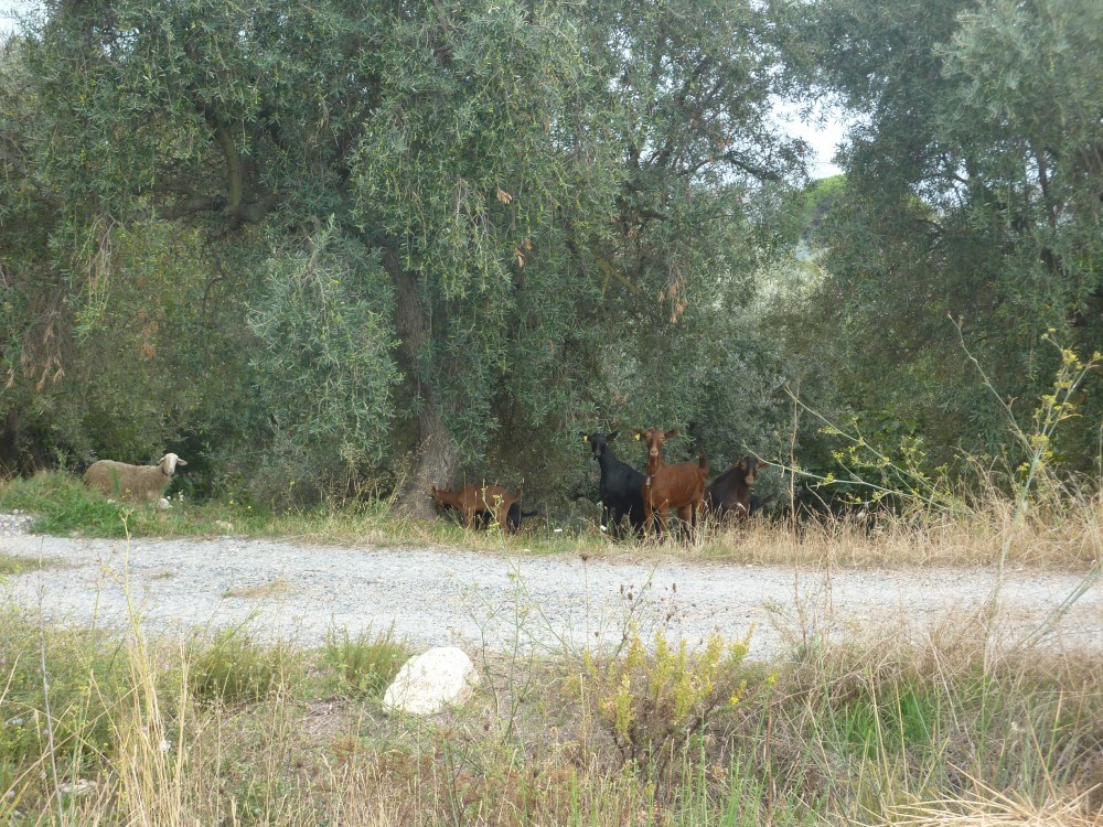 Its always worth practising your stalking skills, you never know what your going to meet