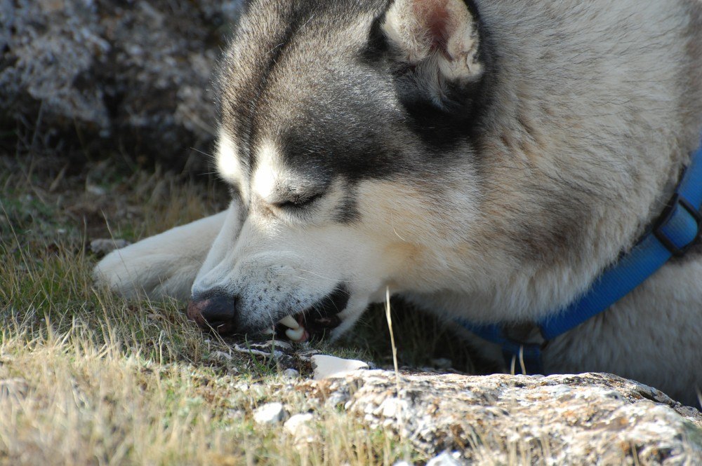 Tasting the soil