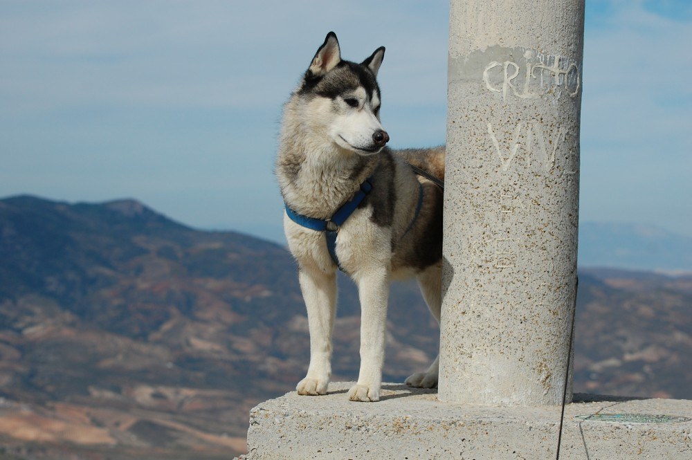 On the summit wondering if that is hu\'dad I can hear