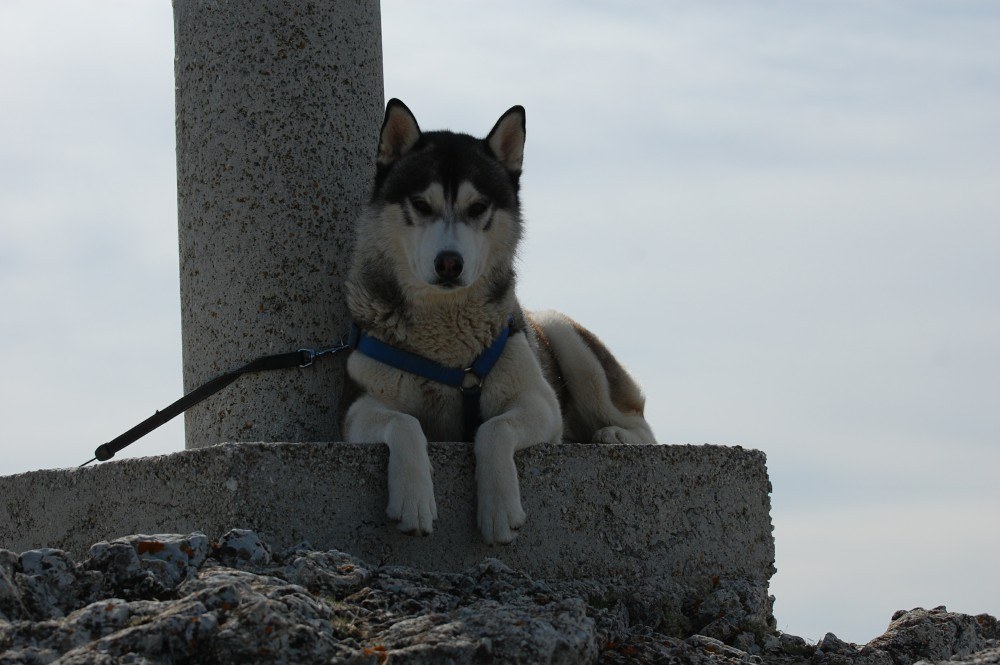 Wondering why hu\'mum keeps taking photos