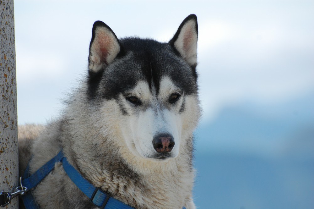 Ok hu\'mum here is my handsome look