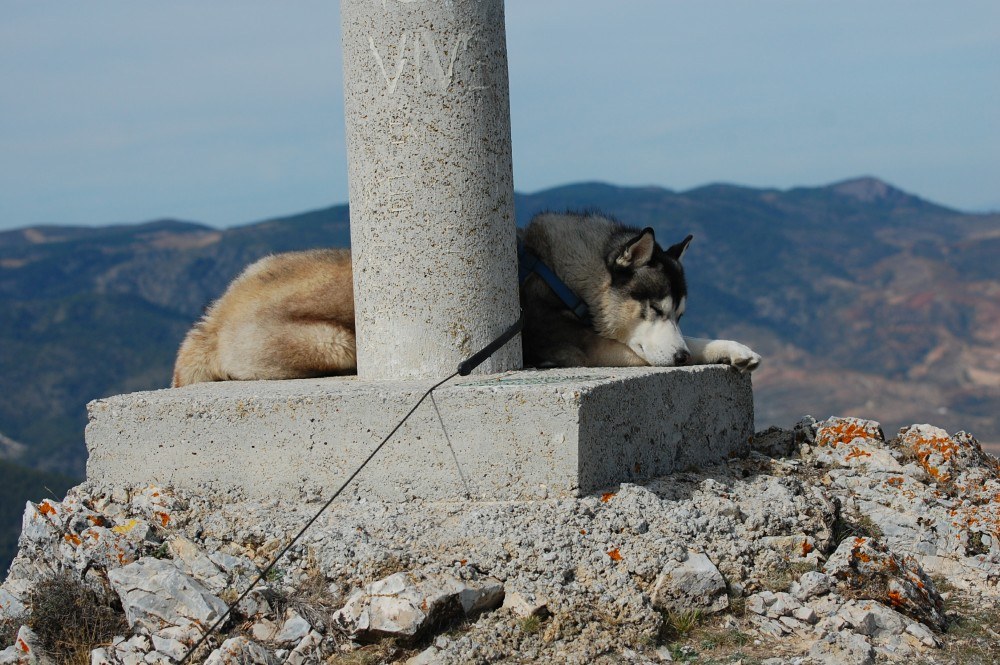 Time for the afternoon siesta