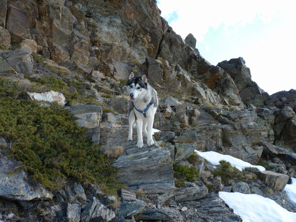 Exploring the rocks looking for signs of Ibex