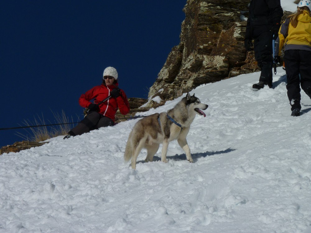 Notice the ice axes that they are all holding, if they had feet like us they wouldnt need them