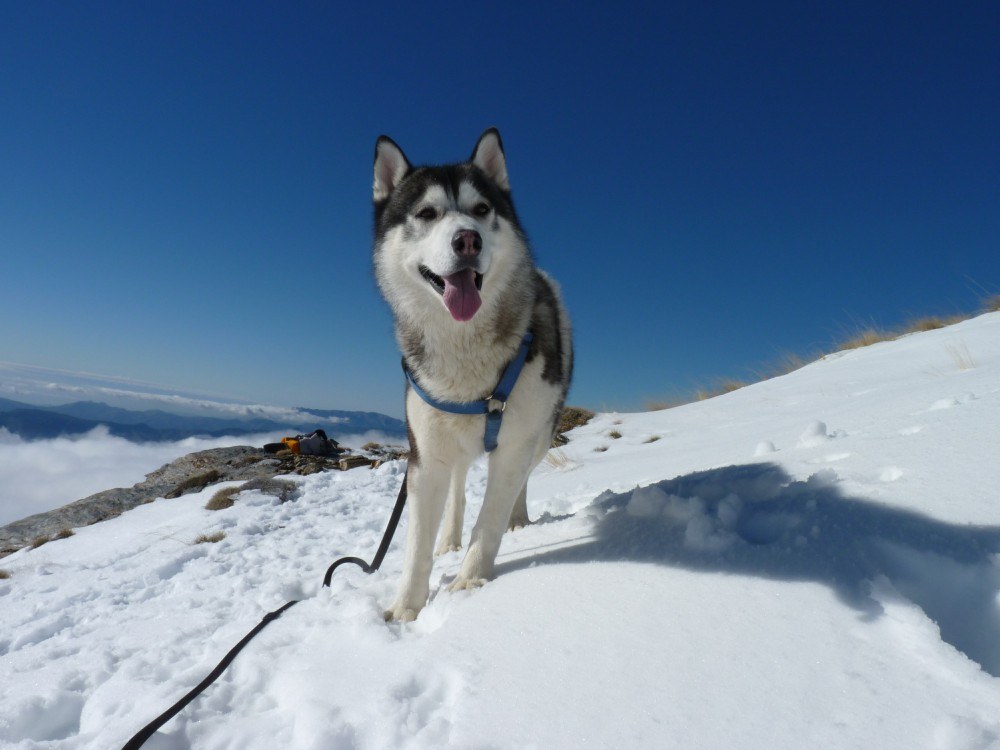 Me, Khumbu