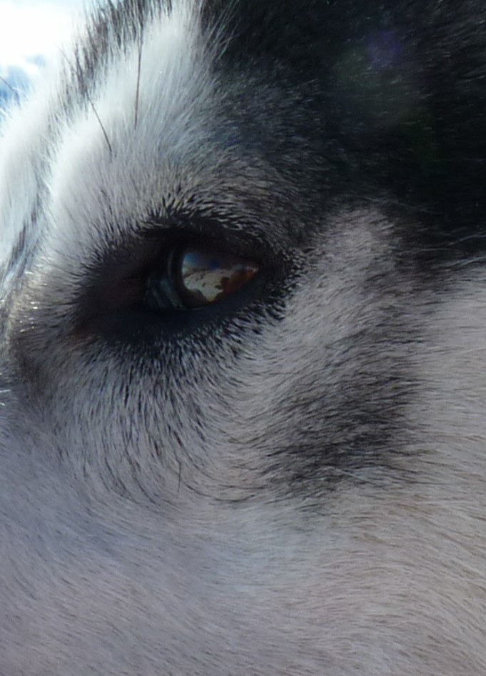 You can see the mountains reflected in my eye