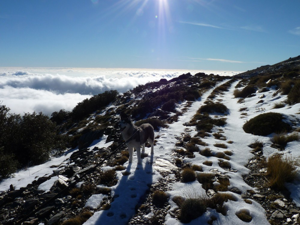 Me on the old track above the clouds