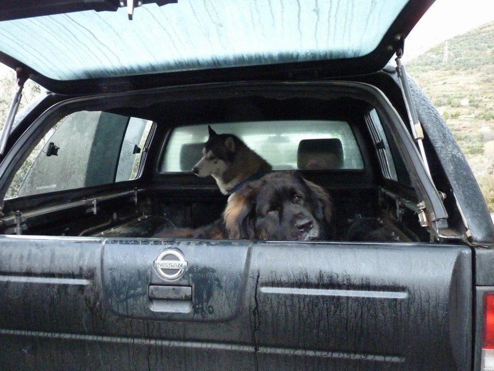 Back in the car