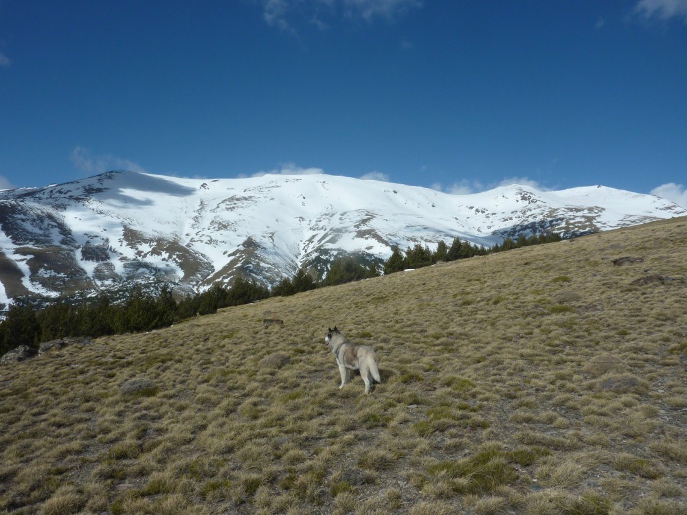 Looking for Ibex, my fav past time. Notice not much snow!