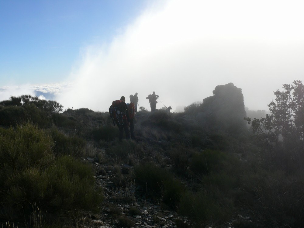 Disappearing in the clouds
