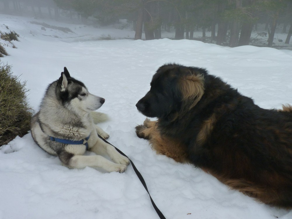 who you looking at. Notice we are in the cloud!