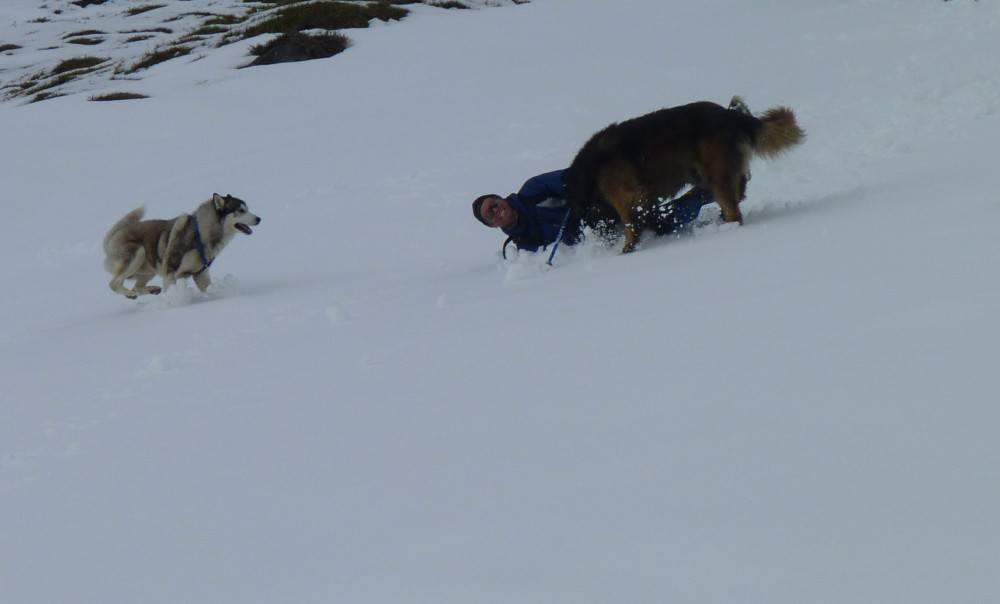 Bruno causing hu'dad to not slide but roll down the mountain. Me, I zoomied