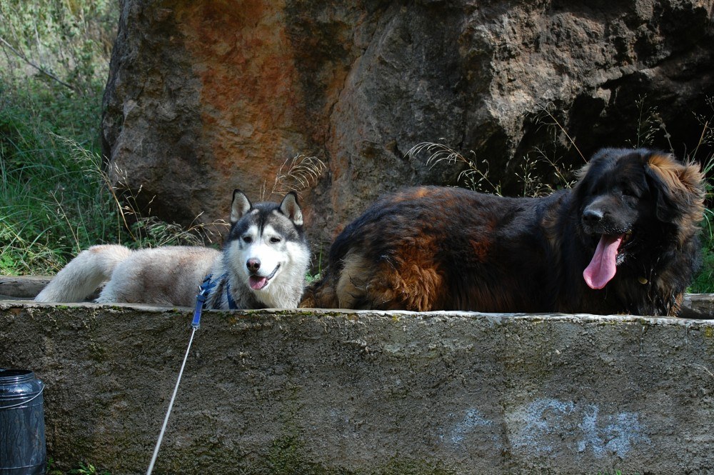 The two of us cooling off in the water. Mum thinks I need sunglasses!