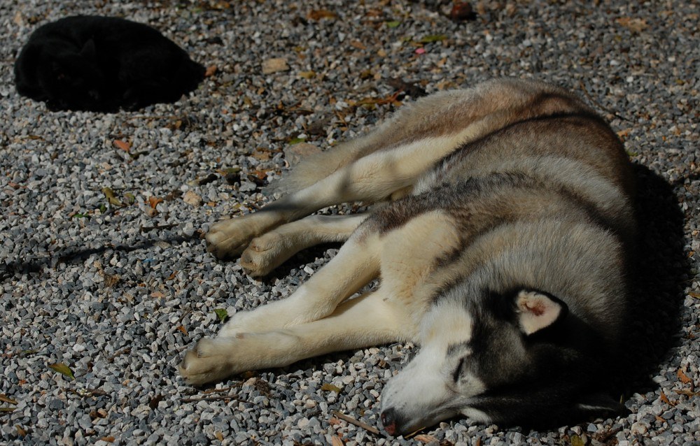 We sunbathed together