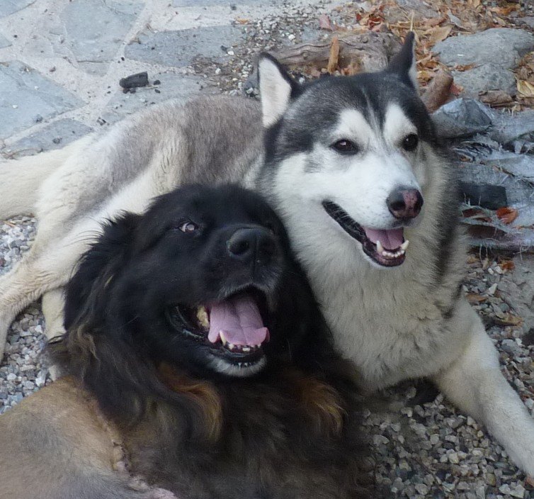 Then we had cuddle time whilst we waited for breakfast