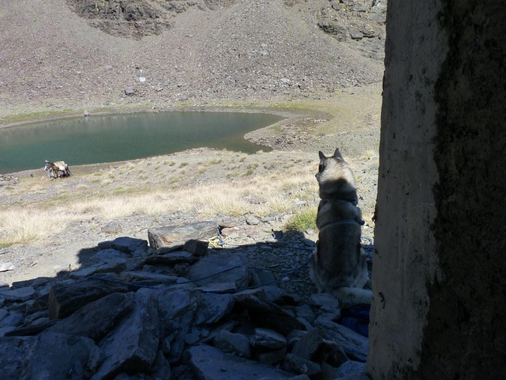 Me watching Pepito, the muleteers and pupsters at the lake whilst sat in the shade