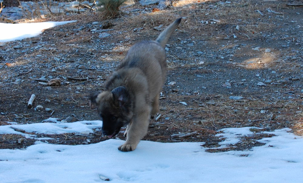 Kyras first touch of snow