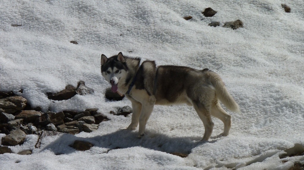 Its ok hu'parents im just investigating these rocks