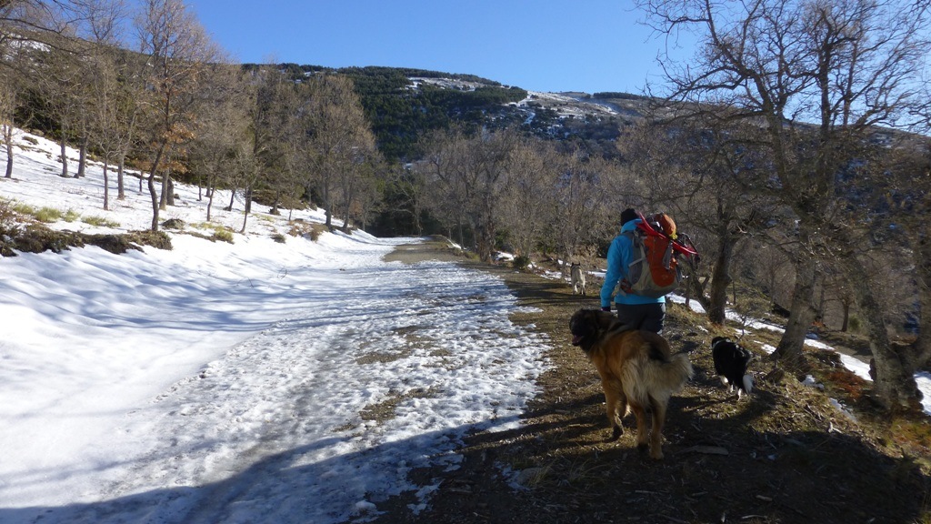 The walk in. We couldn't get to this part of the track by car because of the banked up snow on a narrow stretch of mountain track