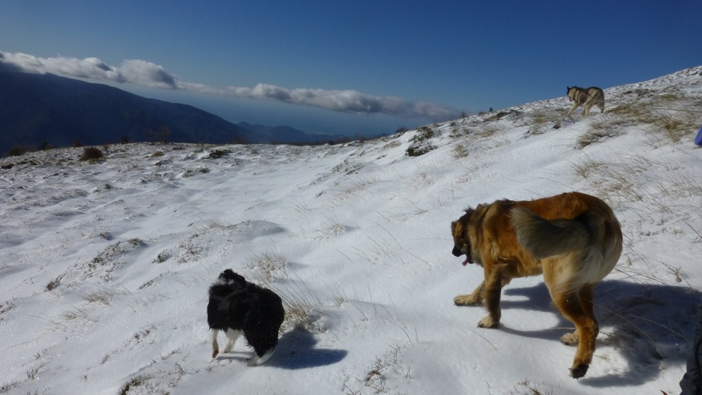 Heading across. Notice our feet are not sinking in the snow, yep it was icy here too.
