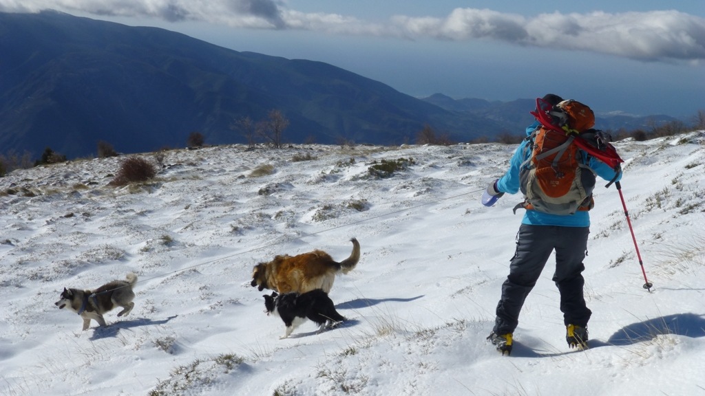 I decided I was going the other way and the girls followed. Hu'mum was glad she had crampons on, she stayed put!