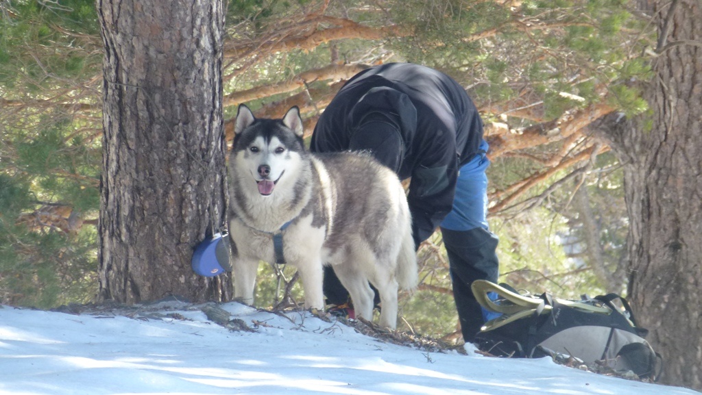Hu'dad decides it's time to put his crampons on and attaches me to a tree to free his hands