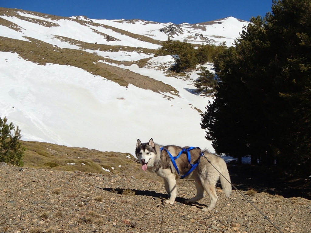 A bit warm but ready for the off up hill