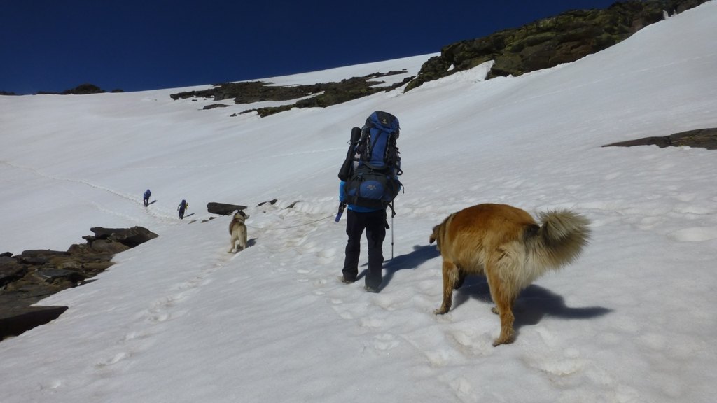 A snow walk to get back out 