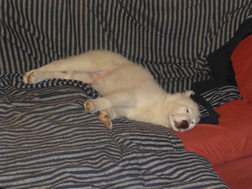 Exhausted after meeting everyone