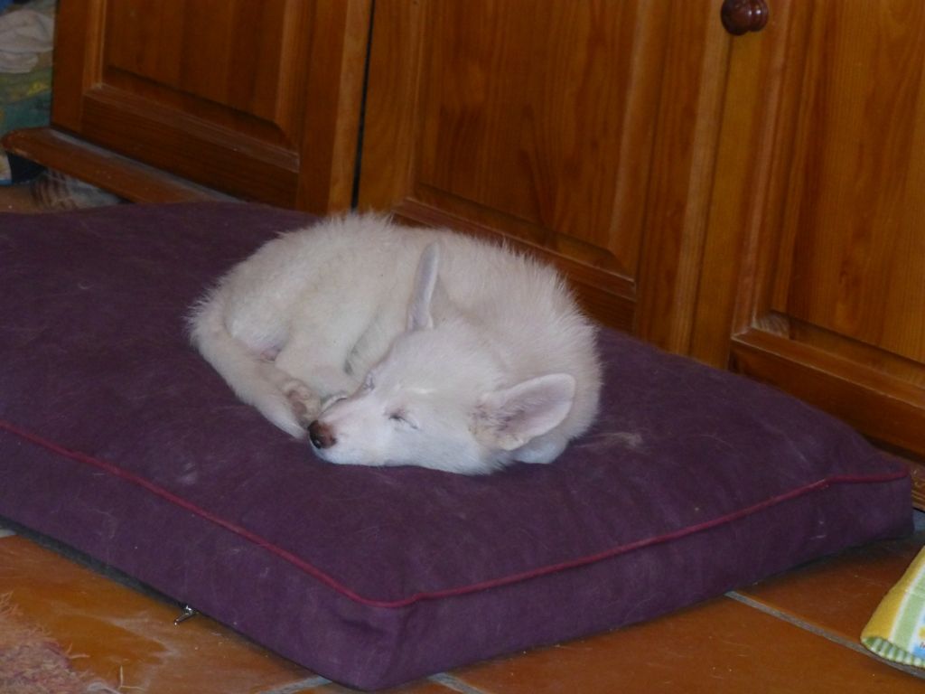 Rita on one bed