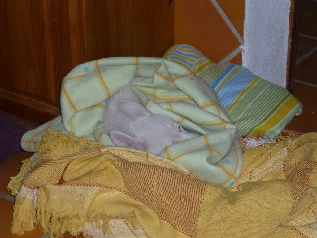 Rita in her blankets