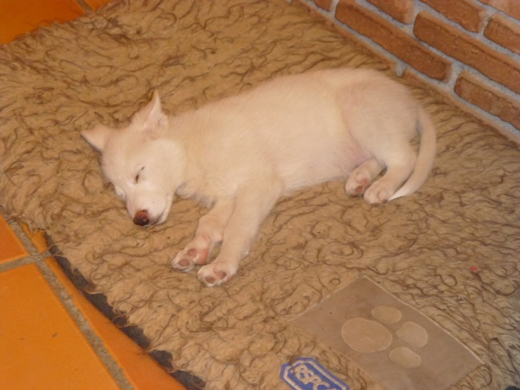 Rita on another bed