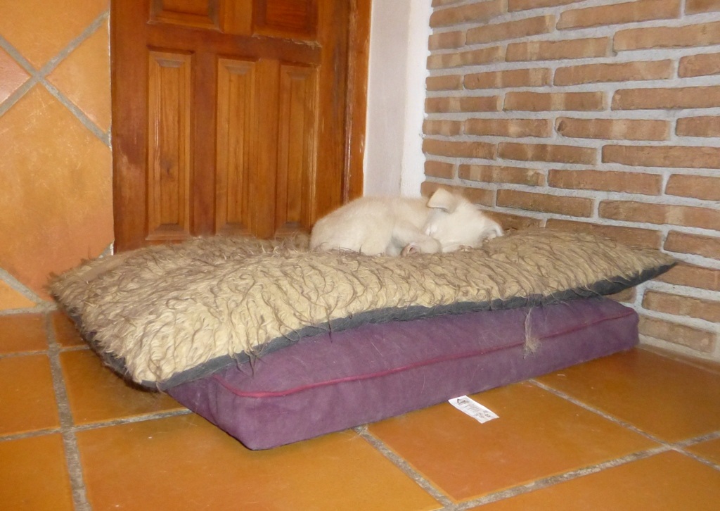 Rita on 2 beds!