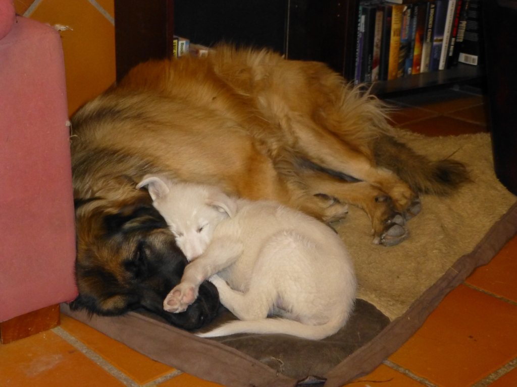 Rita snuggling with Kyra