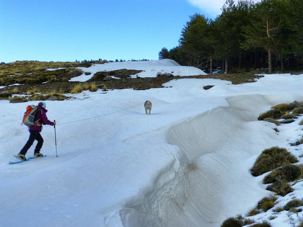 Heading up with hu'mum